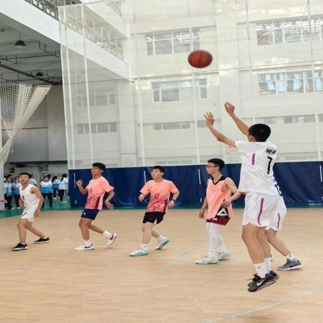 训练备战聚焦:第1124组阵容亮点深度解析